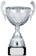Silver Cup Trophy With Handles 9 inches 23cm : New 2020