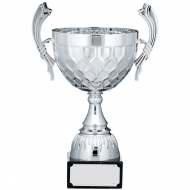 Silver Cup Trophy With Handles 12 inches 30.5cm : New 2020