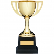 Gold Presentation Cup 7.5 inches 19cm : New 2020