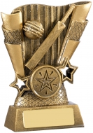 Cricket Scene Trophy Award