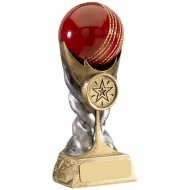 Cricket Ball Trophy Award