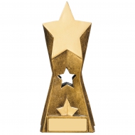 Star Trophy Award