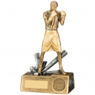 Boxer Male Trophy Award