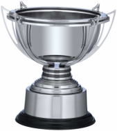 Silver Plated Cup 10 inches 25cm : New 2020