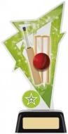 Cricket Acrylic Award 6.25 inches 16cm : New 2020